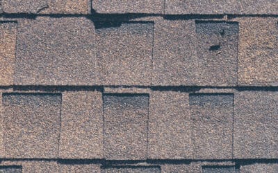 Blistering Shingles (Guide) | Are They Bad?