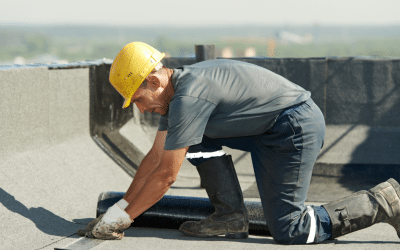 Commercial Roofing: Maintenance Tips for Business Owners